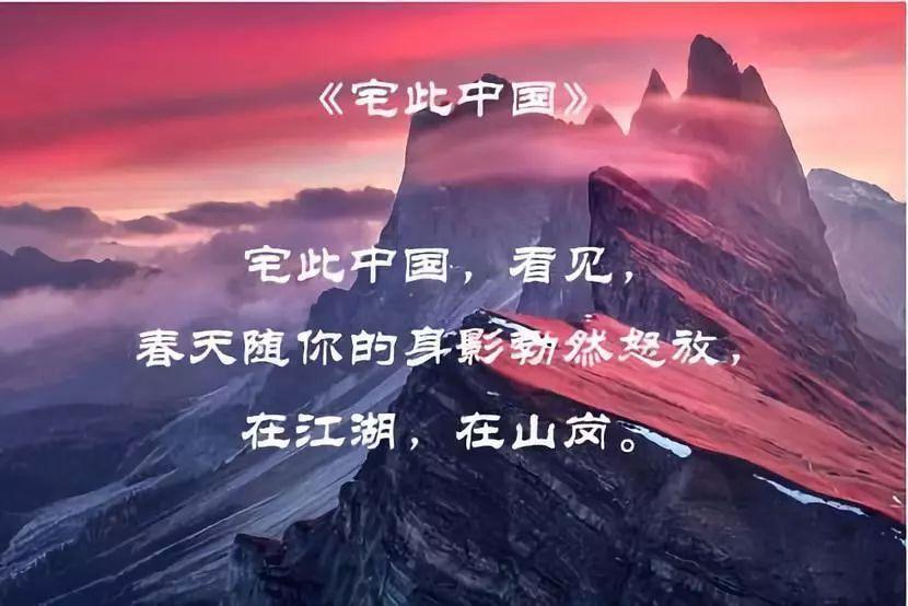 月光影视